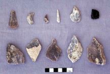 Flints collected from the surface of site DA11 (Photograph by ADIAS)