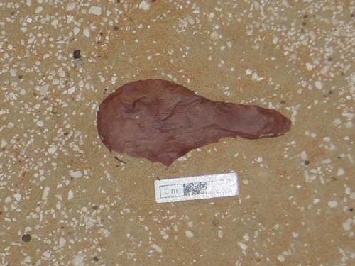 A flint "hoe" discovered at Kharimat Khor Al Manahil (Photograph by Dr Mark Beech)